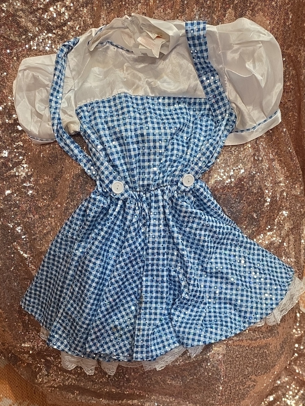 HALLOWEEN Dorothy Costume